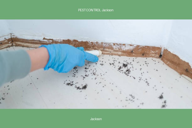 PEST CONTROL Jackson